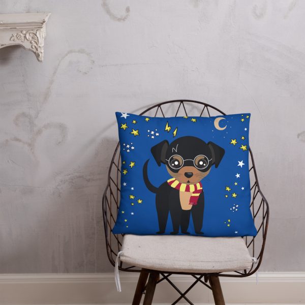 all-over-print-basic-pillow-22x22-5fcb5f66ef83e.jpg