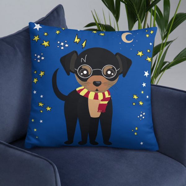 all-over-print-basic-pillow-22x22-5fcb5f66efa9d.jpg
